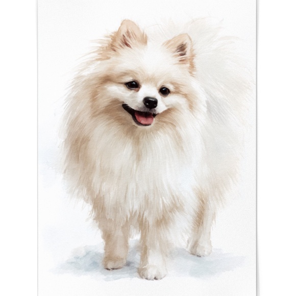 Watercolor Pomeranian Dog Portrait Art Print – Unframed Fine Art Poster - Picture 2 of 5